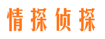 大新市场调查